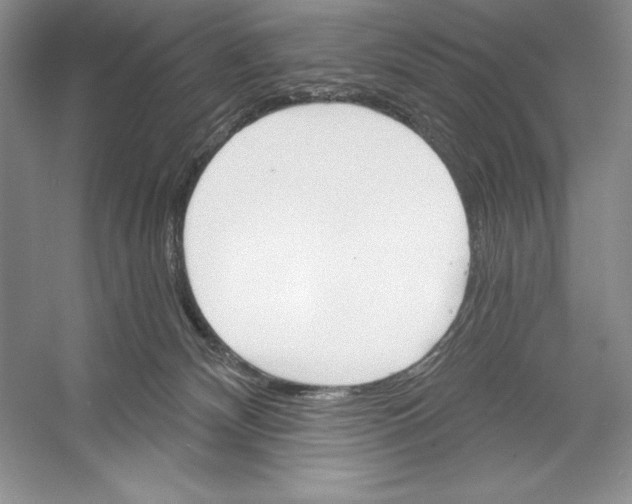 X0000052960132200508050958