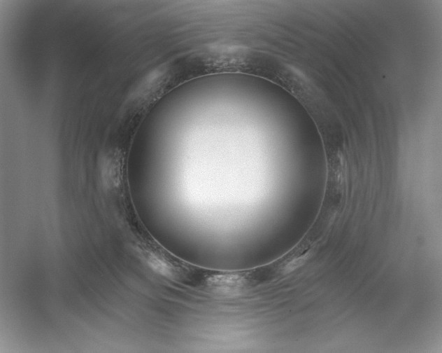 X0000052960133200508050958