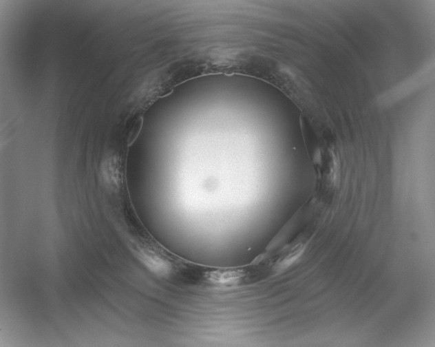X0000052960135200508050958
