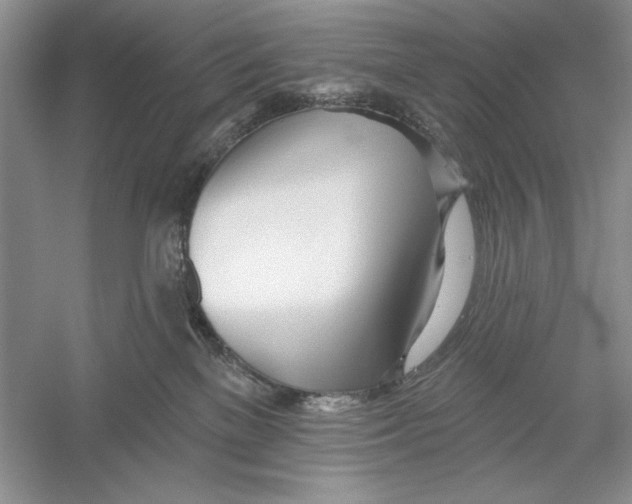 X0000052960137200508050958