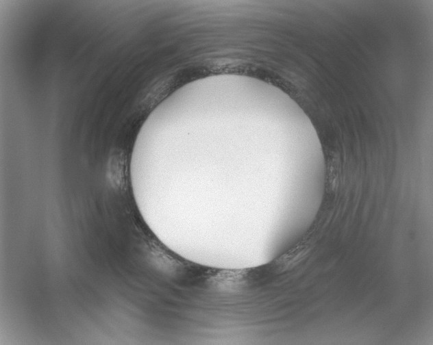 X0000052960138200508050958