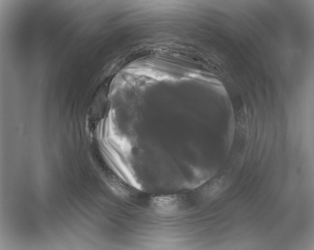 X0000052960139200508050958