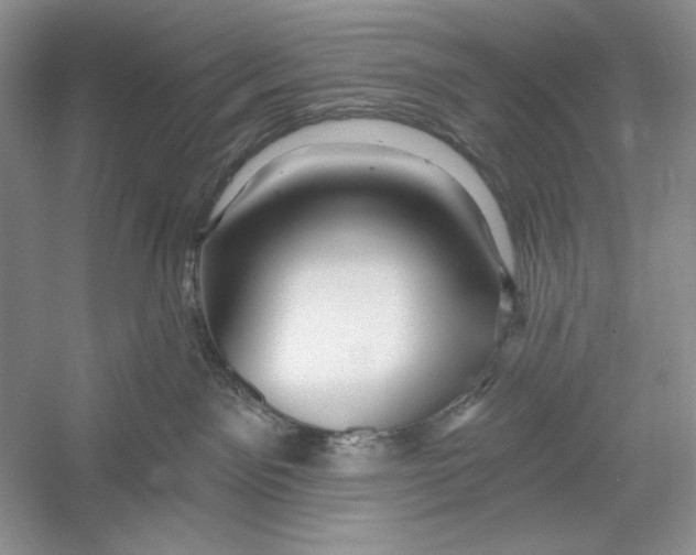 X0000052960141200508050958