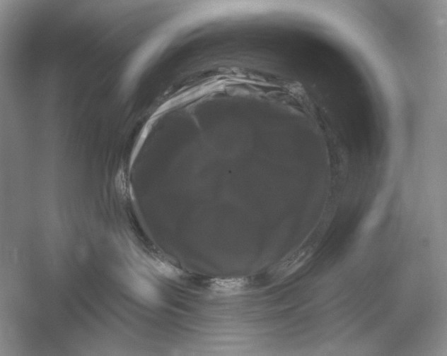 X0000052960143200508050958