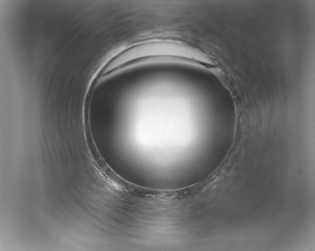 X0000052960148200508050957