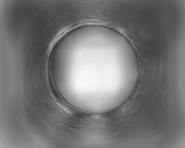 X0000052960151200508050957