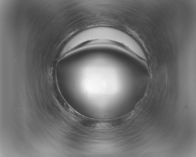X0000052960154200508050957