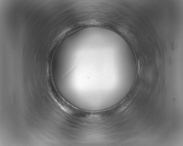X0000052960157200508050957