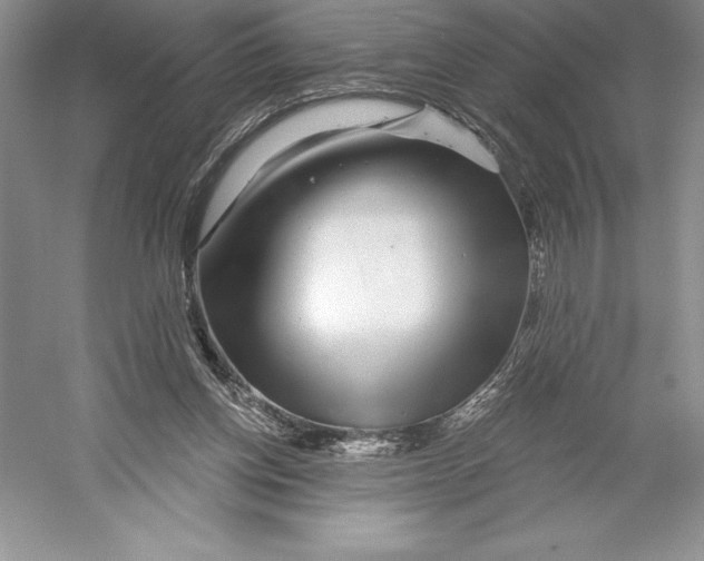 X0000052960158200508050957