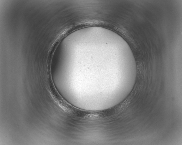 X0000052960159200508050957