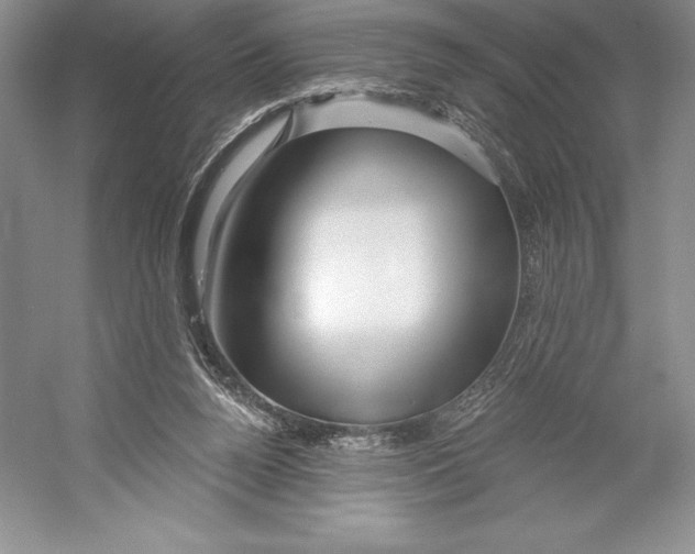 X0000052960160200508050957