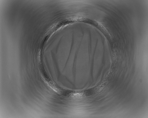 X0000052960163200508050957