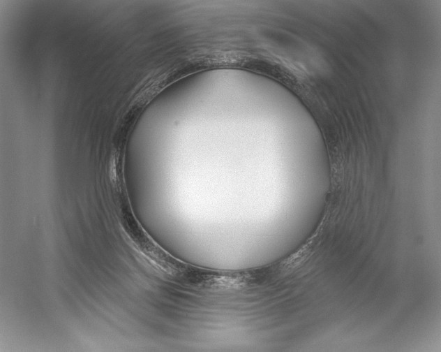 X0000052960166200508050957