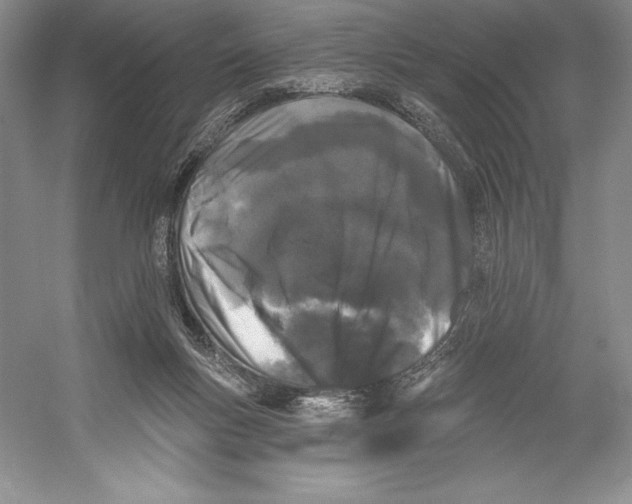 X0000052960167200508050957