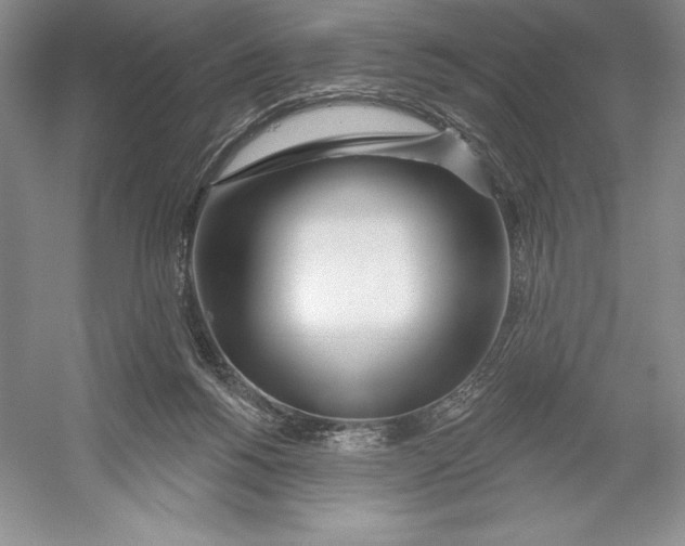 X0000052960168200508050958