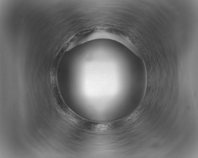 X0000052960176200508050958