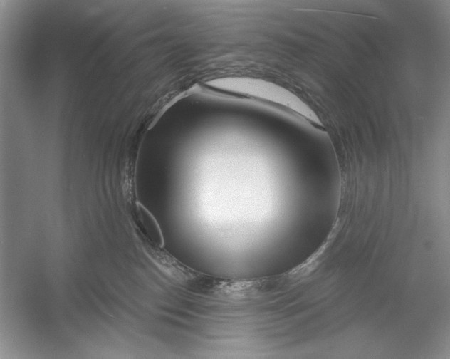 X0000052960186200508050958
