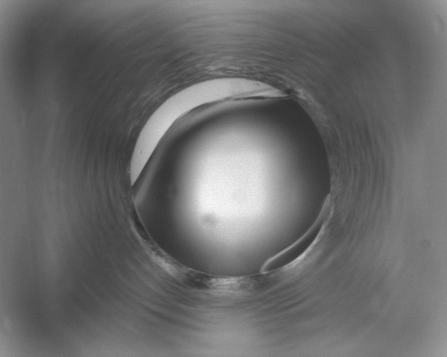 X0000052960192200508050958
