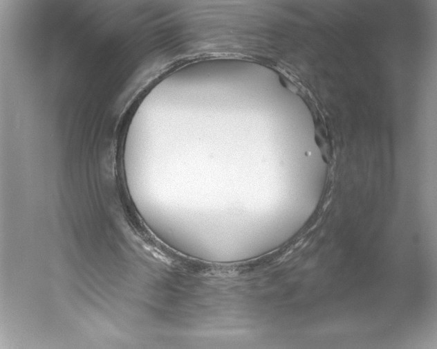 X0000052960194200508050957