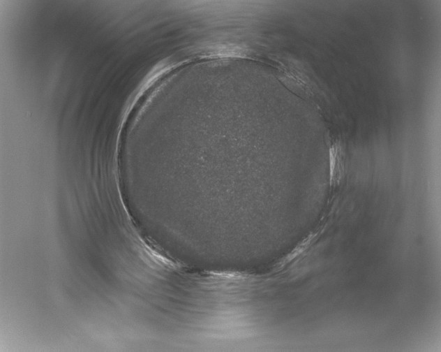 X0000052960195200508050957