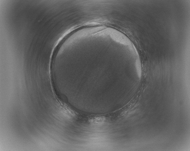X0000052960196200508050957