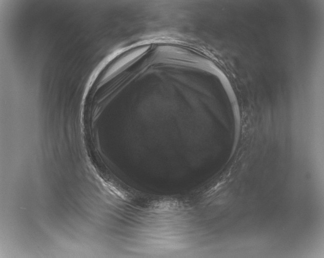 X0000052960200200508050957