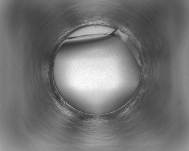 X0000052960201200508050957