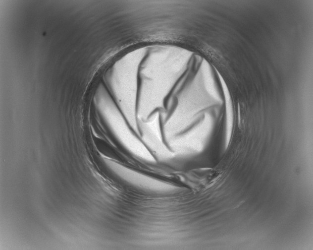 X0000052960204200508050957