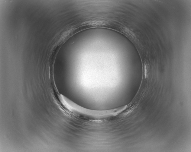 X0000052960205200508050957