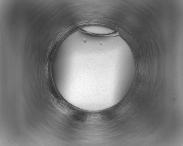 X0000052960206200508050957
