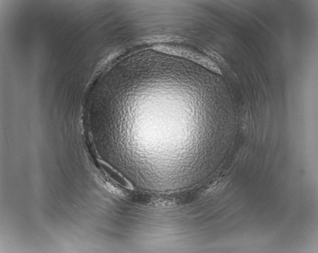 X0000052960207200508050957