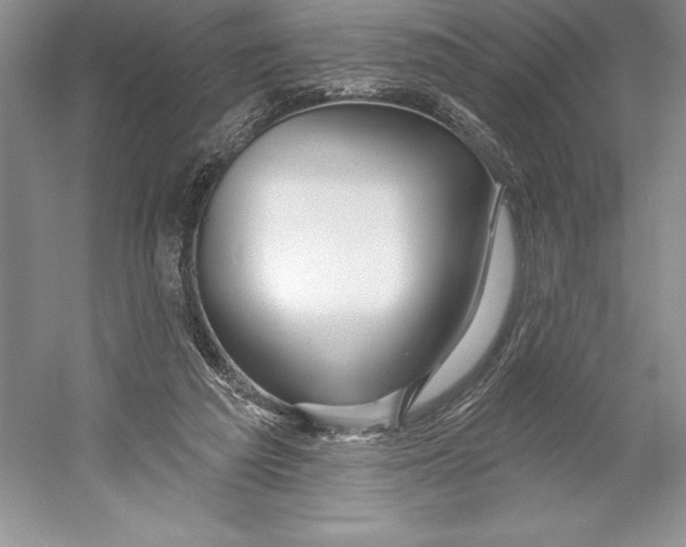 X0000052960209200508050957