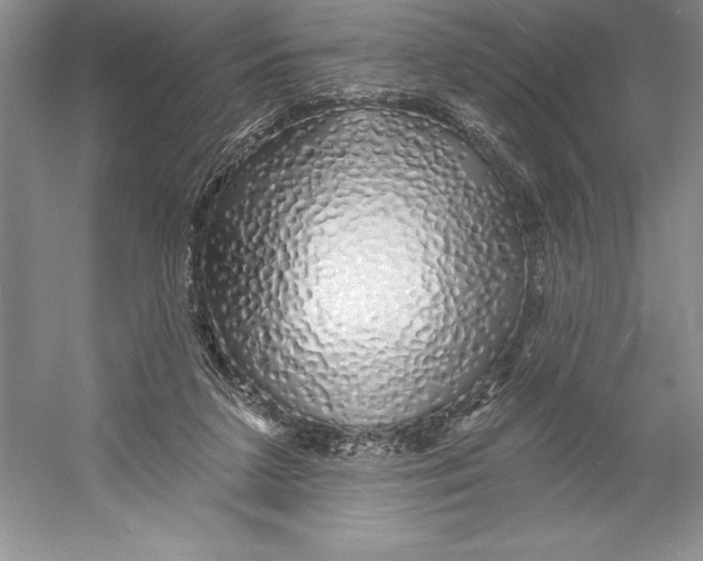 X0000052960211200508050957
