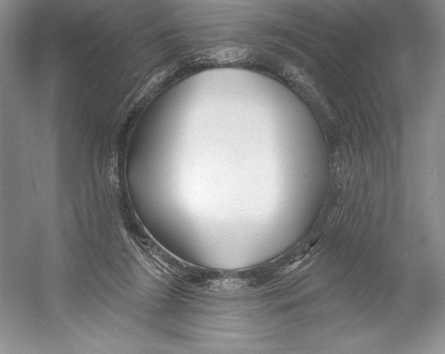 X0000052960212200508050957