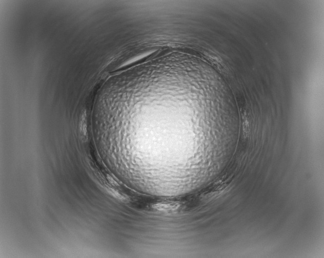 X0000052960215200508050957
