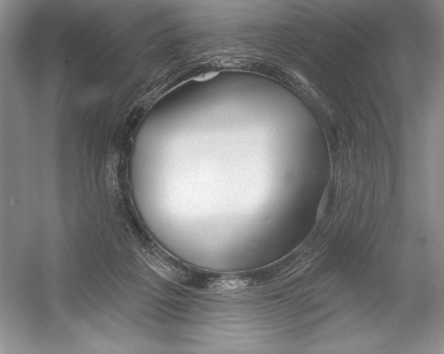 X0000052960217200508050957