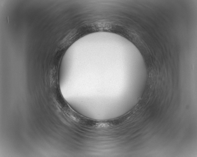 X0000052960218200508050957