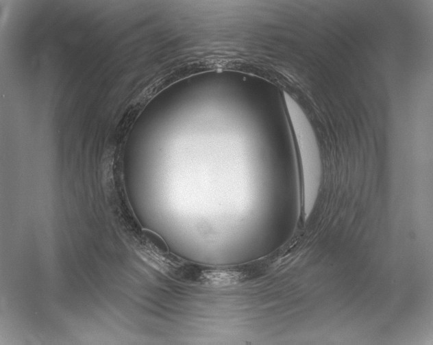 X0000052960221200508050957
