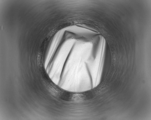 X0000052960222200508050957