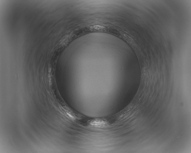 X0000052960223200508050957