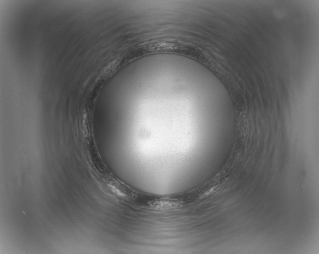 X0000052960224200508050957