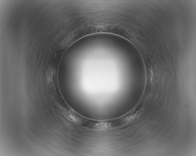 X0000052960225200508050957