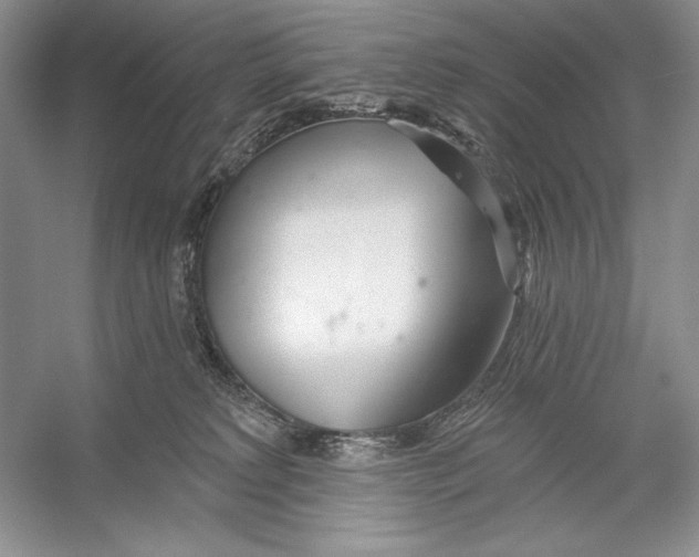 X0000052960229200508050956