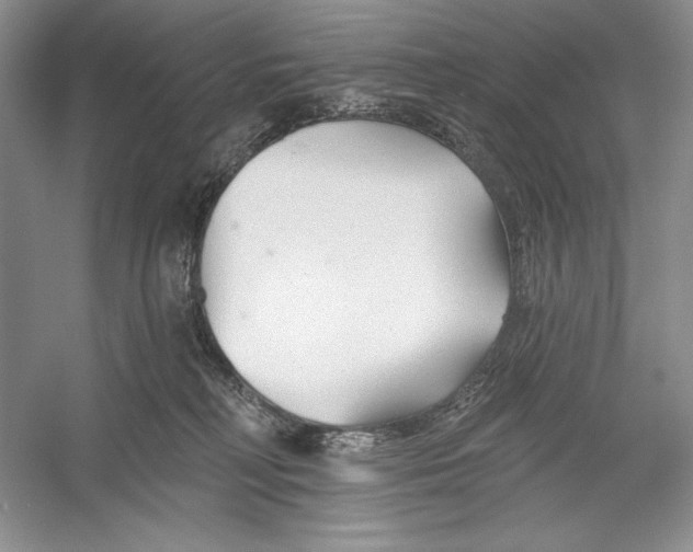 X0000052960230200508050956