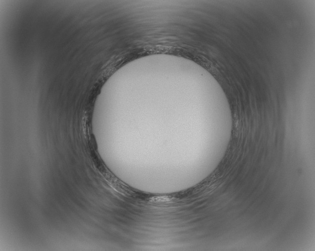 X0000052960231200508050956