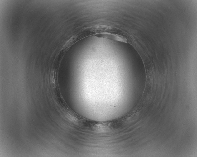 X0000052960232200508050956