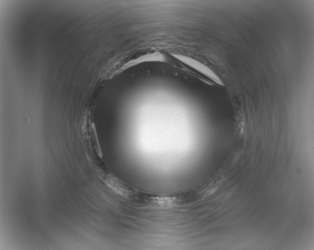 X0000052960233200508050956