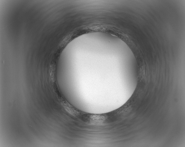 X0000052960234200508050956