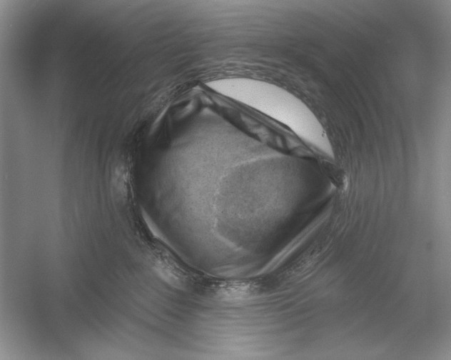 X0000052960235200508050956