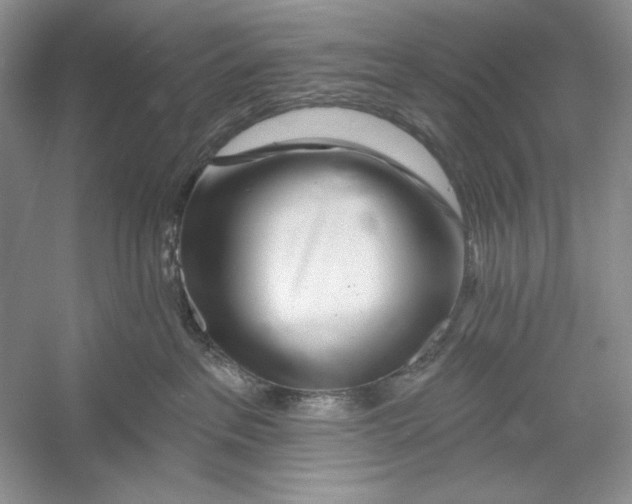X0000052960237200508050956